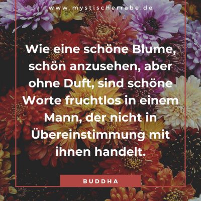100 Inspirierende Buddha Zitate