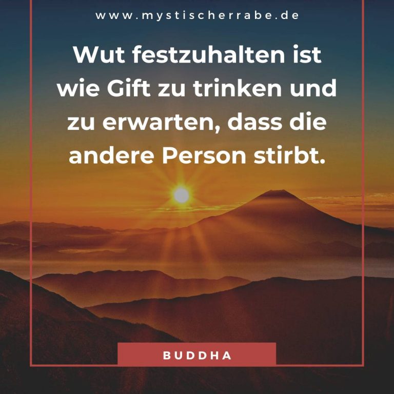 Wut Festhalten Ist Wie Gift Trinken