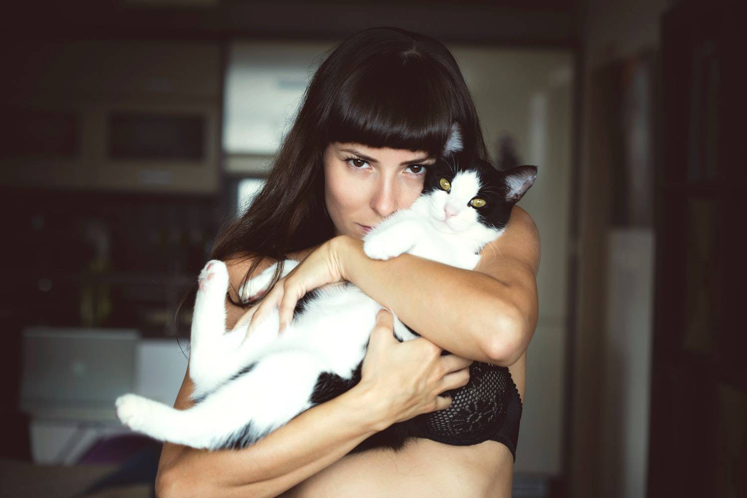 Katzen sind natürliche Empathen, die deinen Geist, Körper und deine Seele heilen können