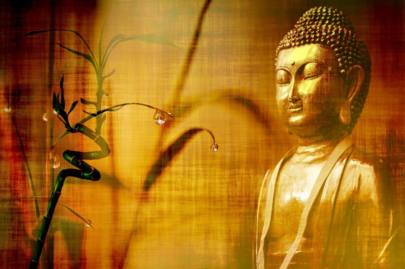 100 Inspirierende Buddha Zitate