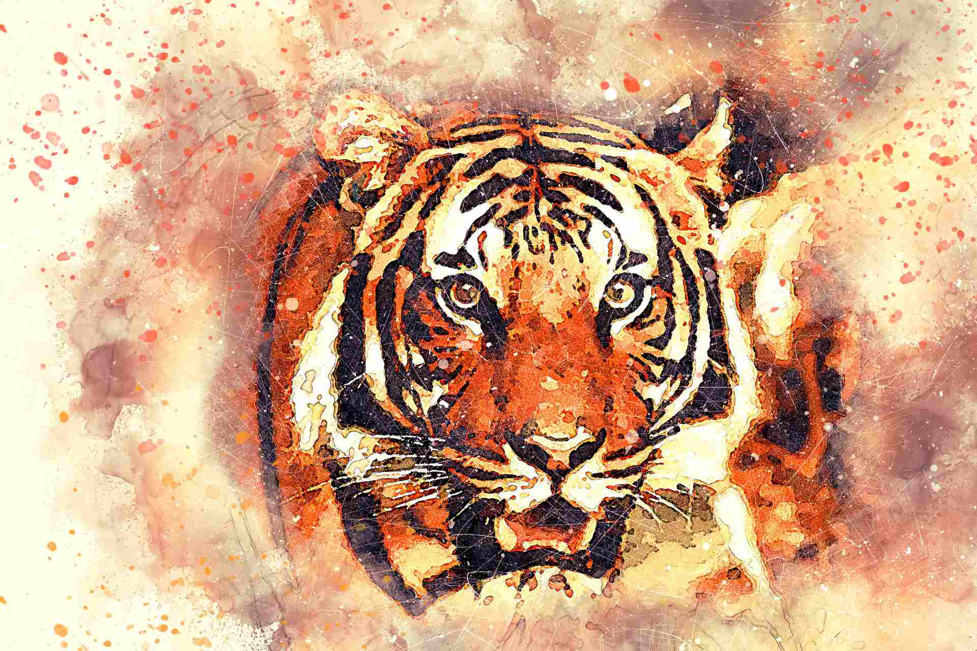 Krafttier Tiger – Symbolik und Bedeutung