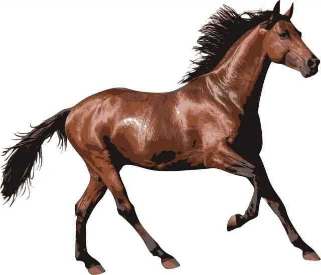 Pferd Bedeutung Symbol