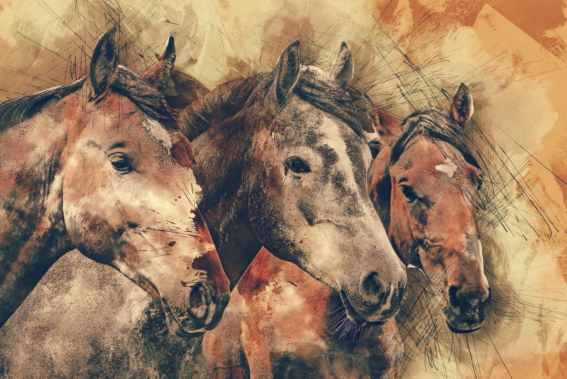 Krafttier Pferd – Symbolik und Bedeutung