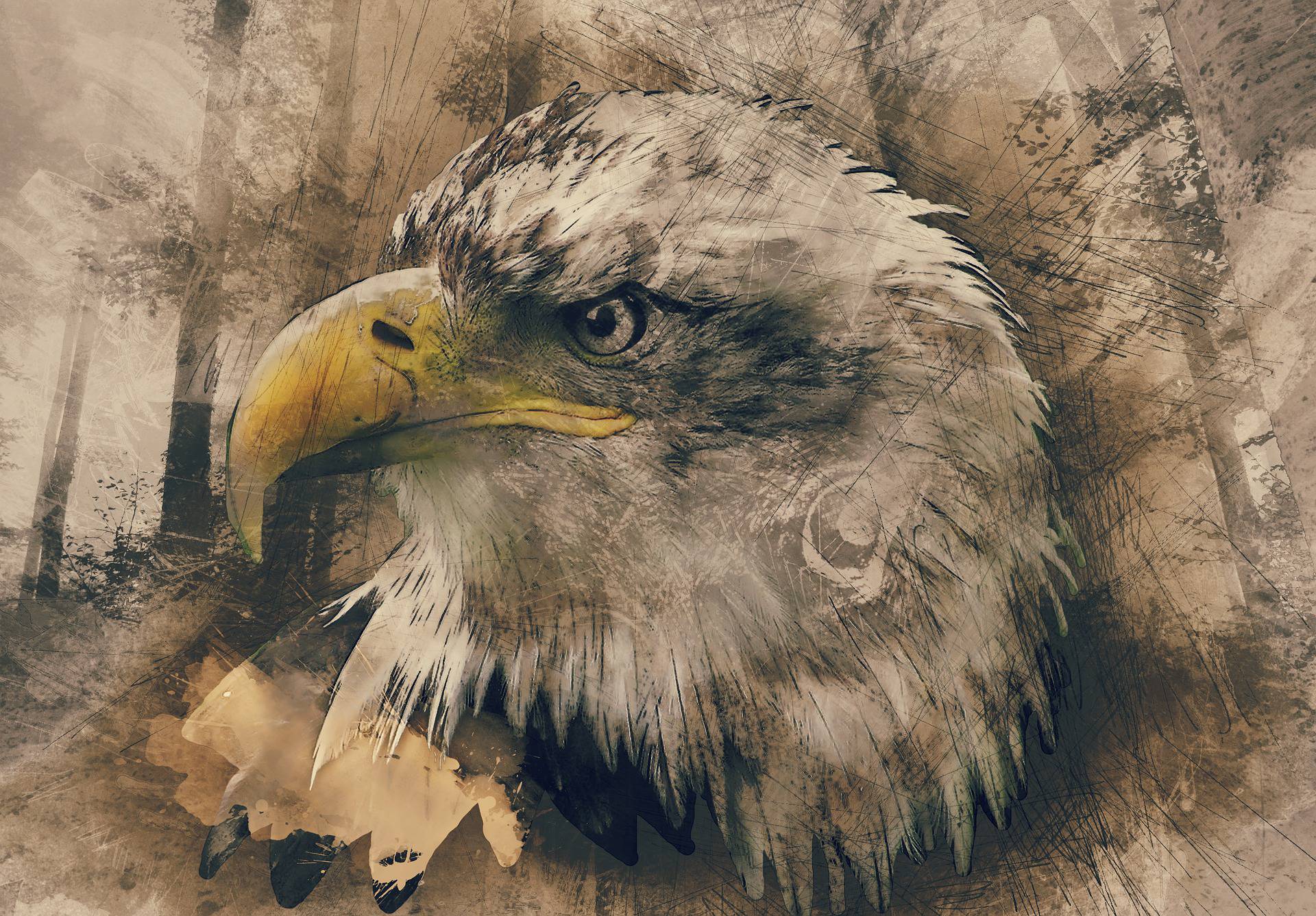 Krafttier Adler – Symbolik und Bedeutung