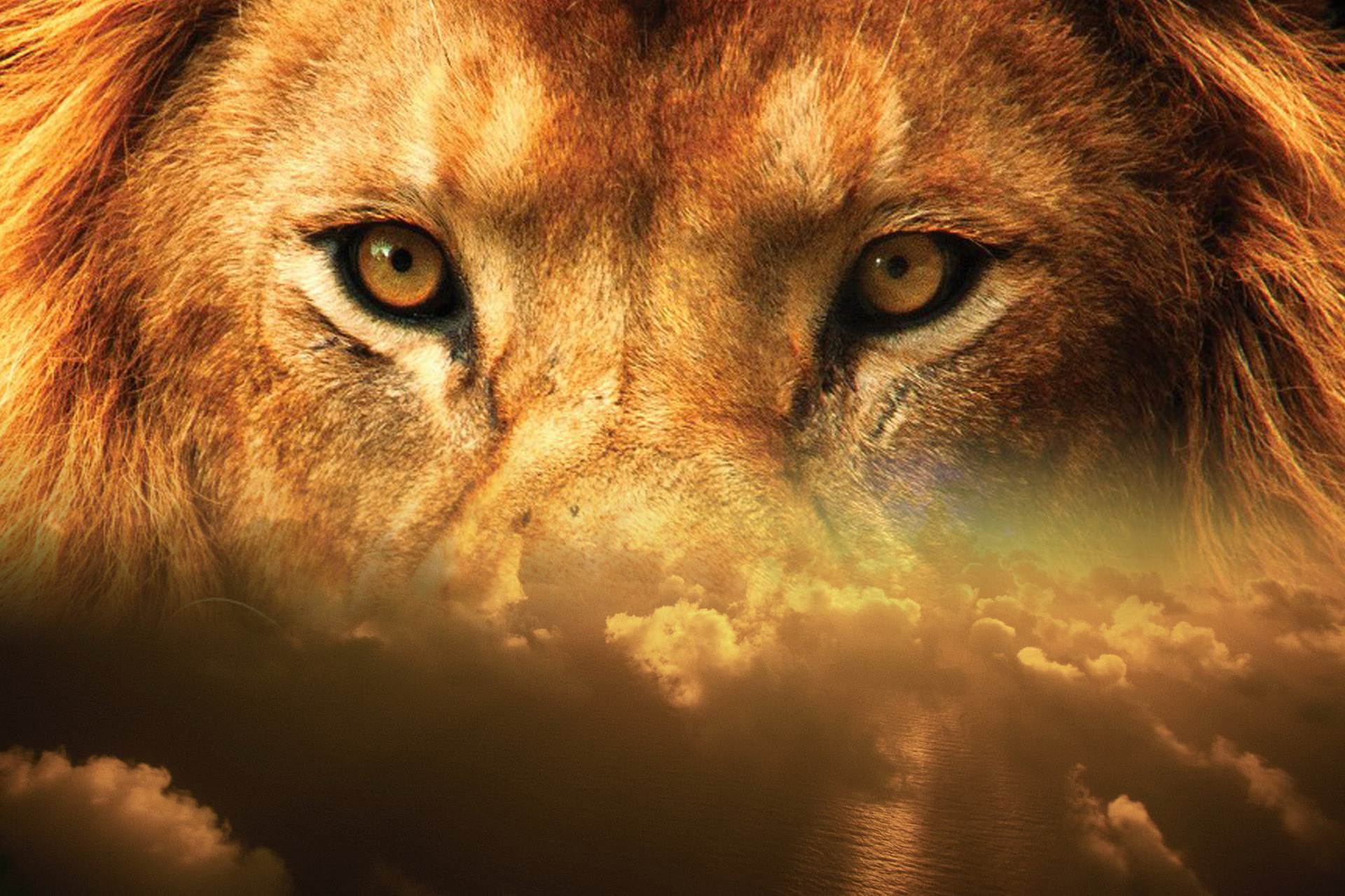 Krafttier Löwe – Symbolik und Bedeutung