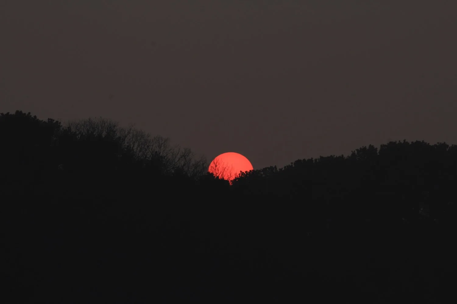 Entdecke den superrosa Mond: Ein Supermond und der erste Vollmond im Frühling