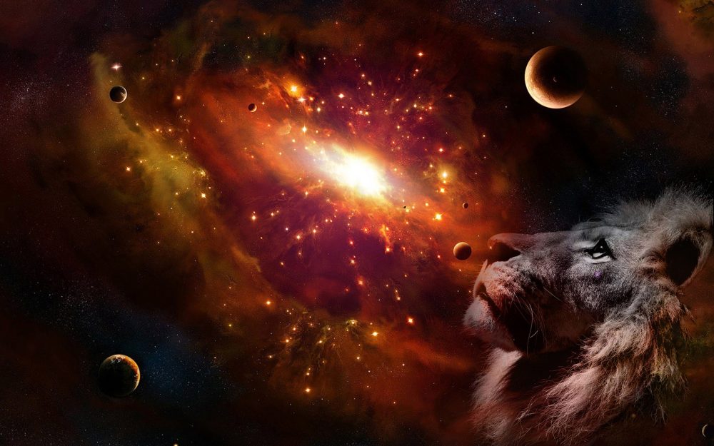 16 interessante Fakten über das Sternzeichen Löwe