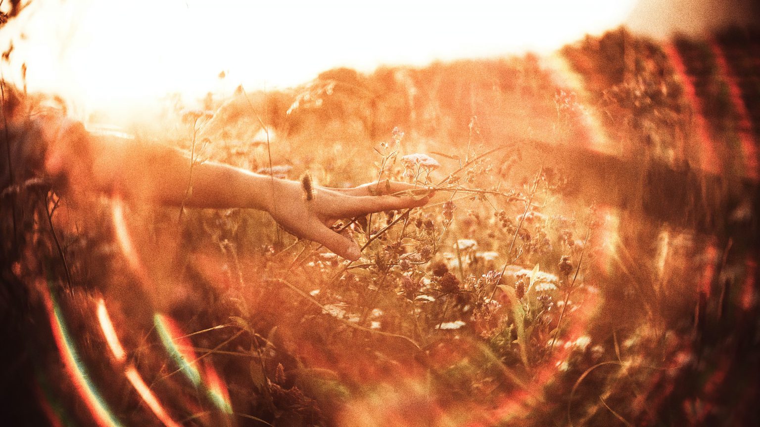 Connection-light-hand-1536x864 Energetische Verbindung Zwischen Zwei Menschen