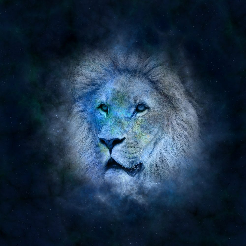 Löwe: Das Zeichen der edlen Seele