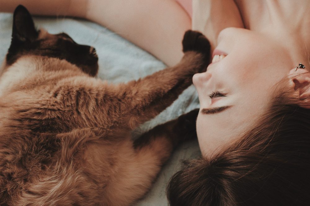 6 Zeichen, dass Ihre Katze Sie sehr liebt