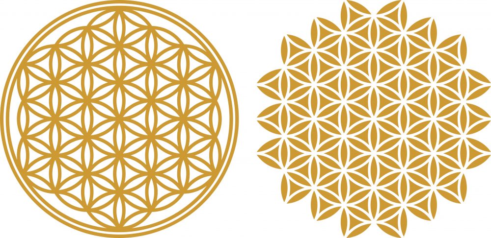 Lebensblume: Die Einheit von allem innerhalb der Schöpfung