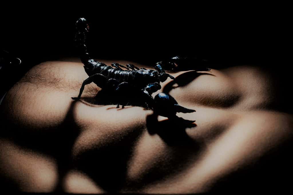 Nicht sich tagelang meldet skorpion mann Skorpionmann Affäre