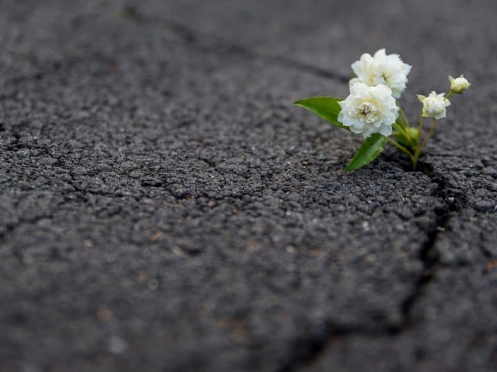 7 Säulen der Resilienz, um jede Herausforderung zu meistern