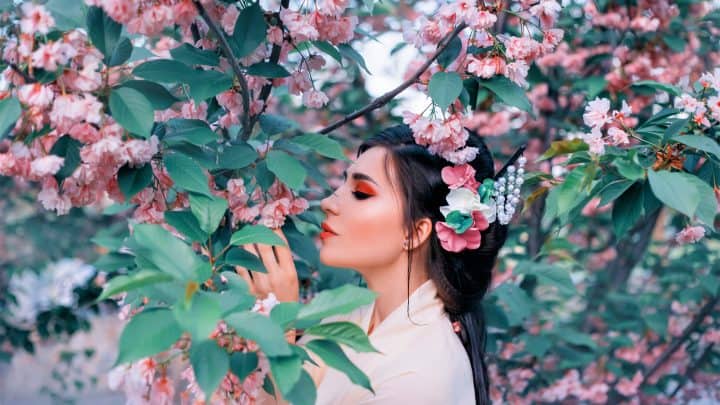 Bedeutung und Symbolik der Kirschblüten: Die rosa Sakura Blüte
