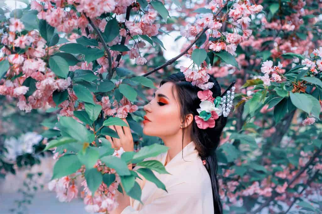 Bedeutung und Symbolik der Kirschblüten: Die rosa Sakura Blüte