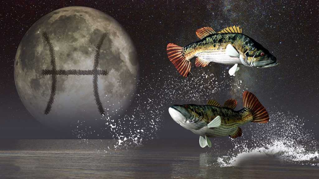 Mondzeichen Fische: Derjenige, der in einem Meer von Emotionen lebt