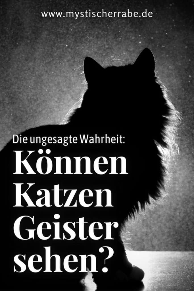 Können Katzen Geister sehen: Die ungesagte Wahrheit