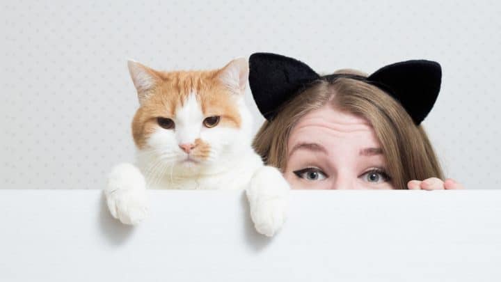 Wenn diese Sachen auf Sie zutreffen, sind Sie eigentlich eine Katze