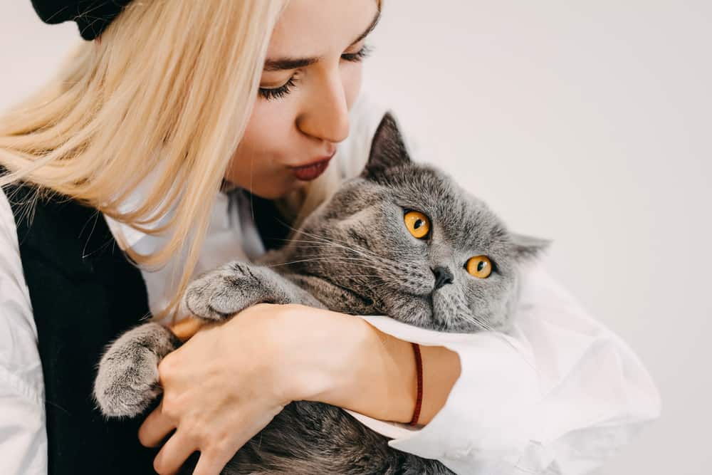 10 Lebenslektionen, die wir von Katzen lernen können