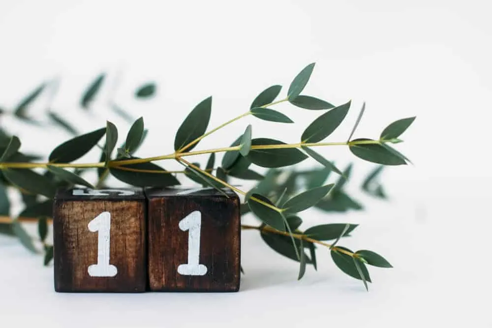 Lebenszahl 11/2: Der Empath