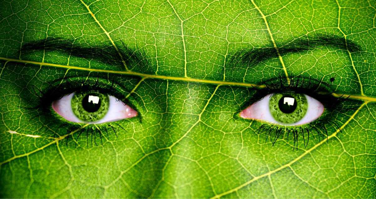 Grüne Augen: Spirituelle Bedeutung