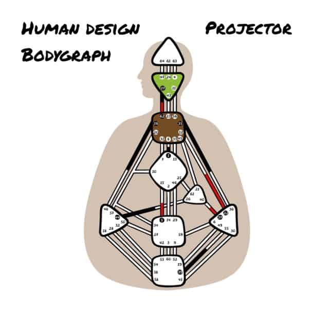 Human Design Typen: Projektor
