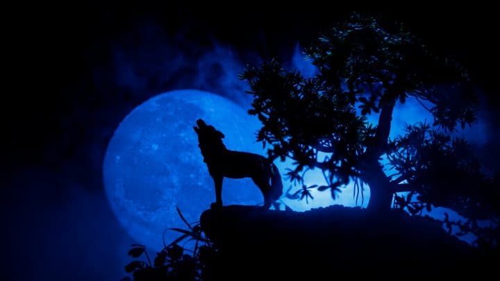 Der Wolfsmond und seine spirituelle Bedeutung