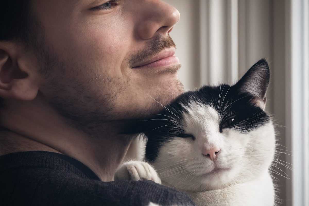 Warum Männer, die Katzen lieben, von Frauen bevorzugt werden