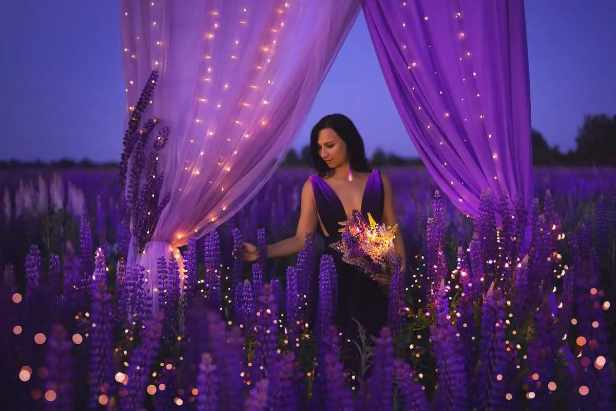 Schütze Aszendent Löwe: Energisch und gesellig