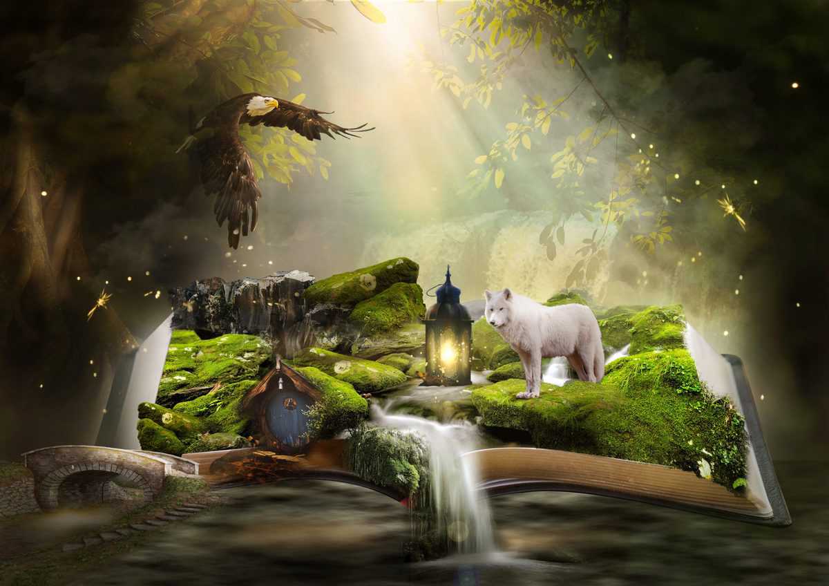 Dieses Tier hat die st&auml;rkste Bei&szlig;kraft der Welt &ndash; die Antwort &uuml;berrascht