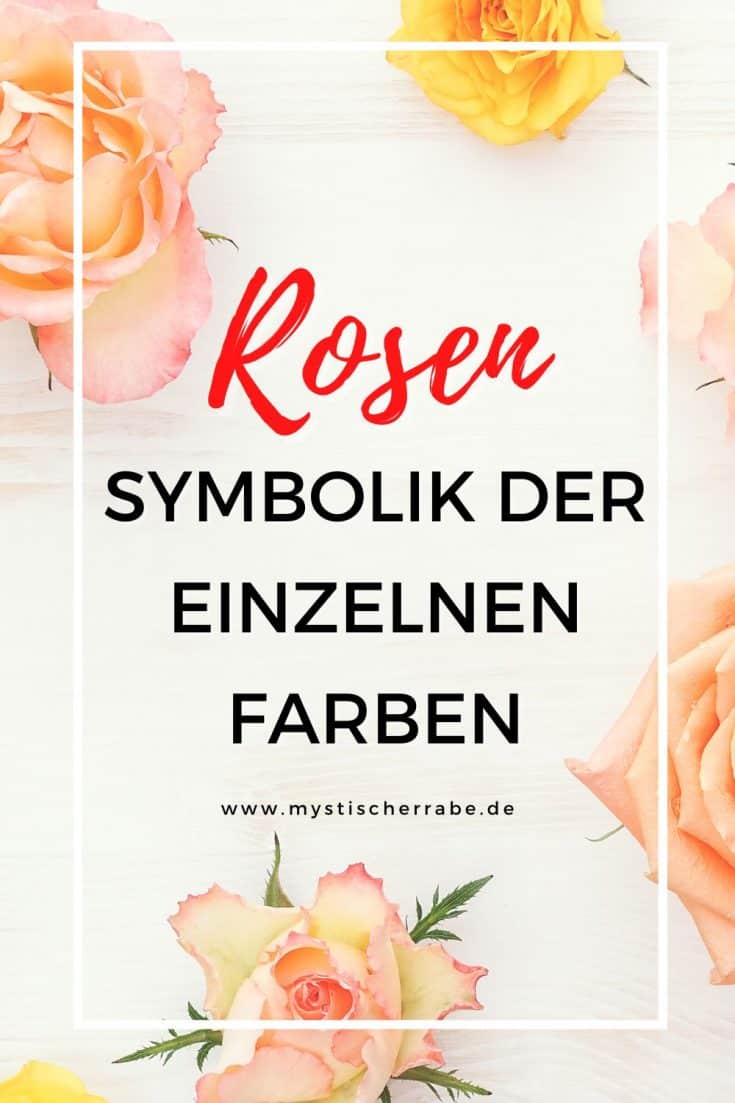 Bedeutung Der Farben Von Rosen