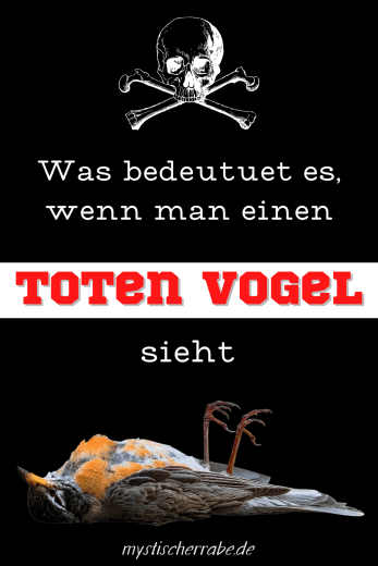 Toter Vogel Was bedeutet es, wenn man einen toten Vogel sieht