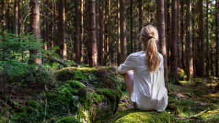 Wie man Waldbaden Übungen in 8 Schritten macht