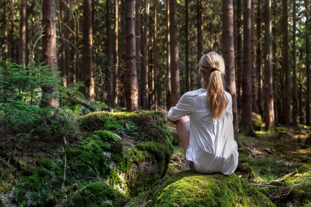 Wie man Waldbaden Übungen in 8 Schritten macht
