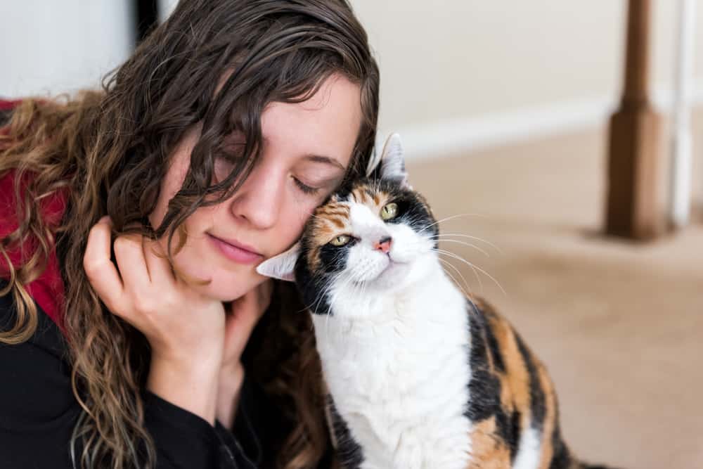 Wie funktioniert Tierkommunikation mit einer Katze?