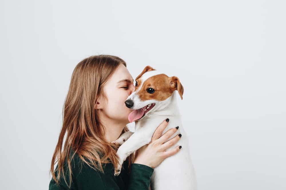 Wie das Kuscheln mit Hunden deine Gesundheit beeinflusst und stärkt