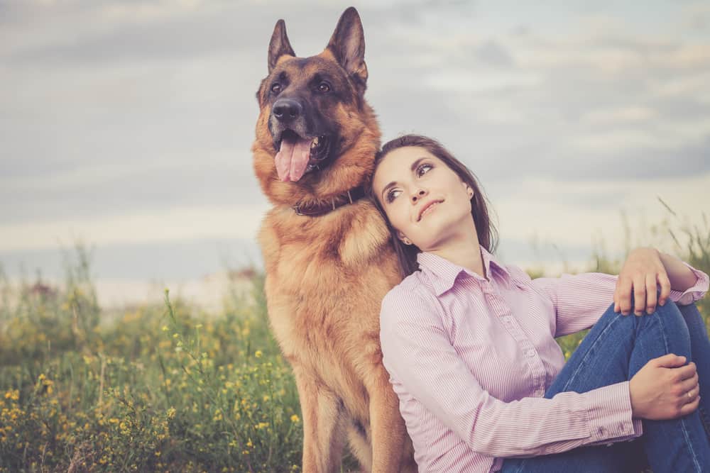 Vierbeinige Bodyguards: Die besten Hunde zum Hausbewachen