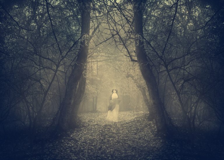 Psychologie Archive Mystischer Rabe